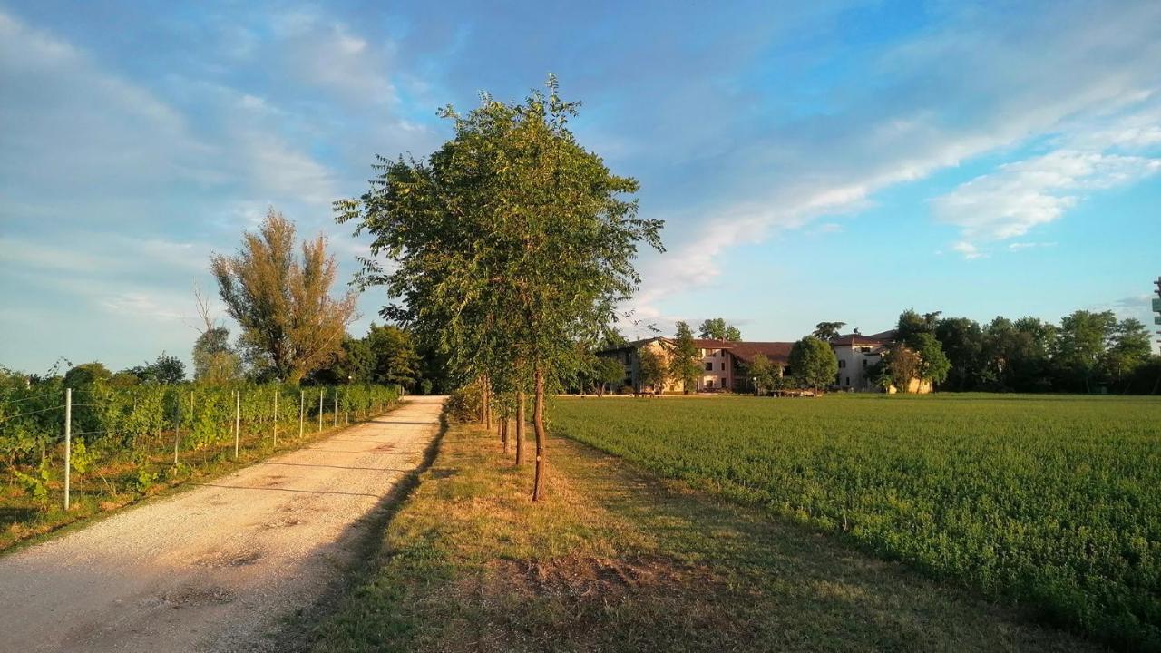 Agriturismo Alle Albare Montorio Veronese Экстерьер фото