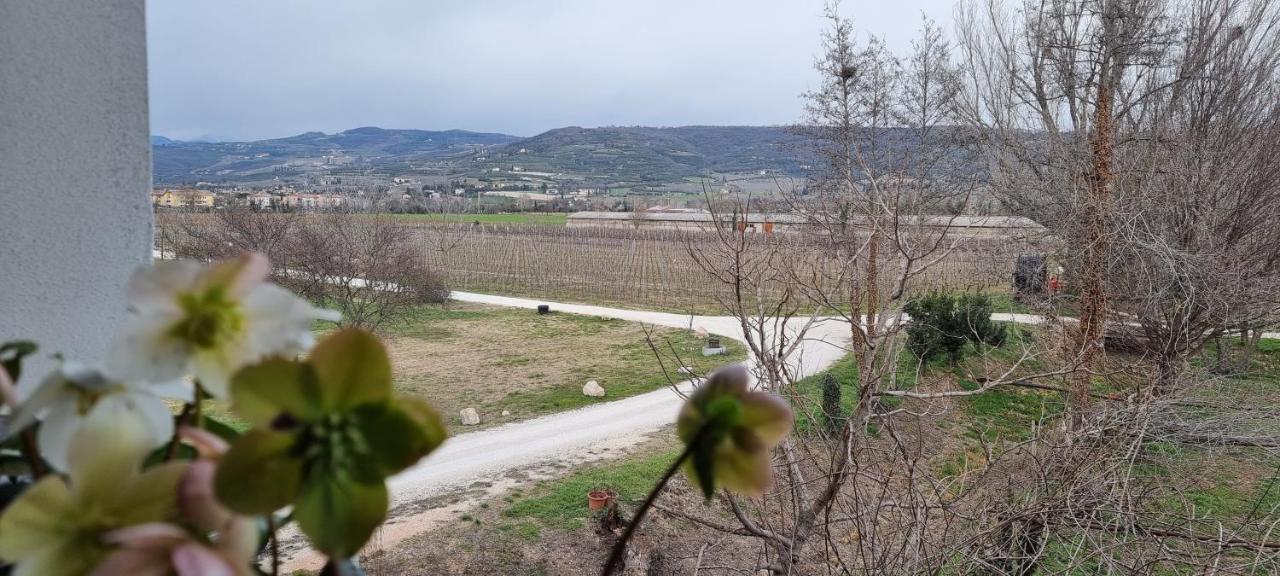 Agriturismo Alle Albare Montorio Veronese Экстерьер фото