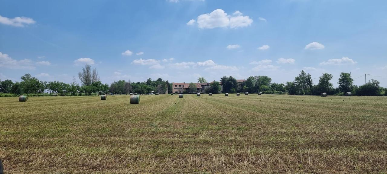 Agriturismo Alle Albare Montorio Veronese Экстерьер фото